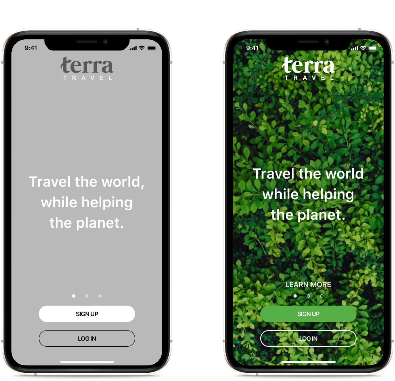 Before and After Screens of the Terra Travel app Launch Screen